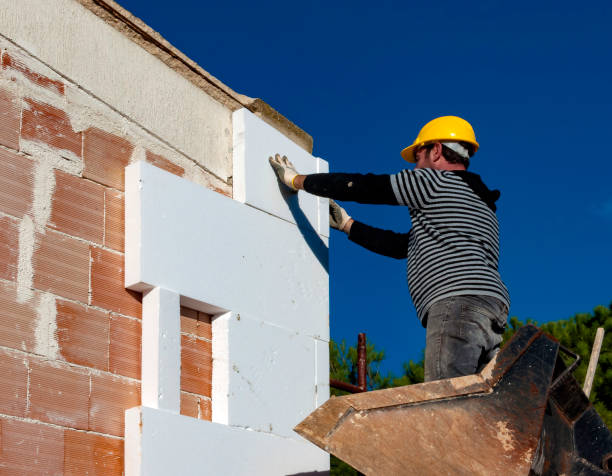 Best Eco-Friendly Insulation in Scow Mills, MO