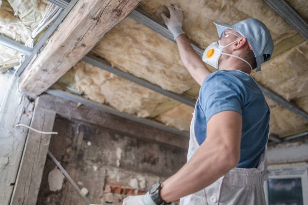 Best Blown-in Insulation in Scow Mills, MO