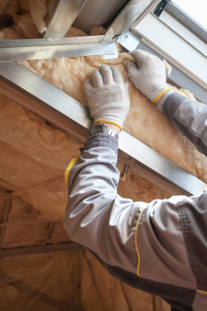 Professional Insulation Contractor in Moscow Mills, MO
