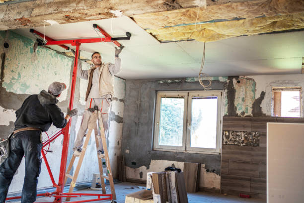 Best Specialized Insulation Services in Scow Mills, MO