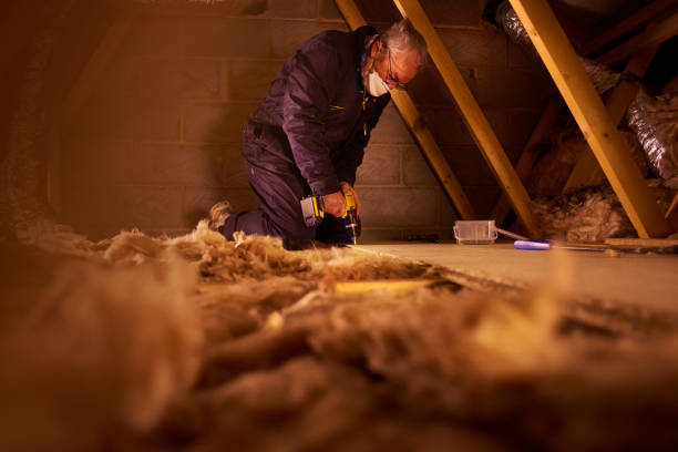 Best Geographic-Specific Insulation Services in Scow Mills, MO